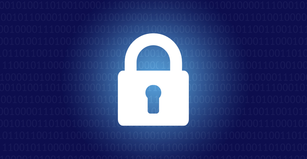 Seguridad Cibernética